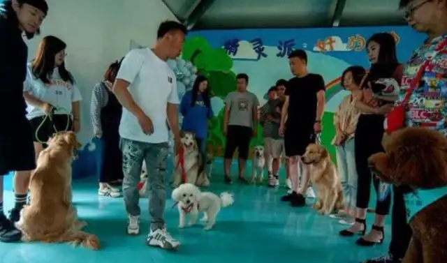 Chinan has his first civilized dog club