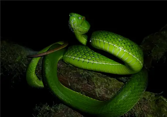 I've got an I.D. on her