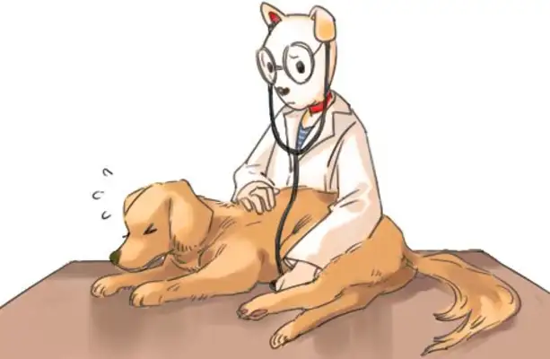 It's not good for a dog to be able to stagger, but how can he feel uncomfortable