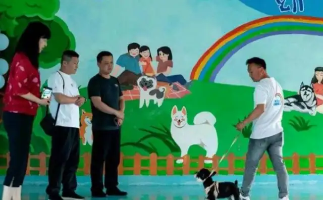 Chinan has his first civilized dog club