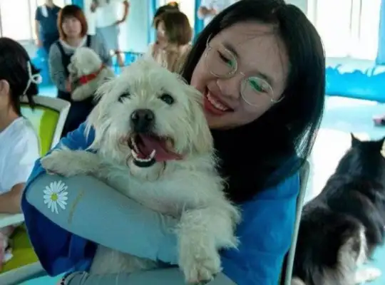 Chinan has his first civilized dog club