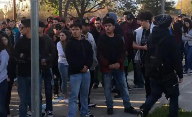 Two 17-year-old boys died trying to save the dog