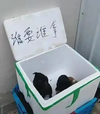 There's a paper box in front of the neighborhood that's completely free of charge