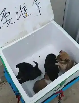 There's a paper box in front of the neighborhood that's completely free of charge