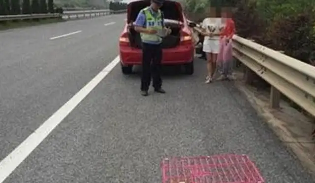 There's a flat tire on the freeway and the pilot's got the dog in his cage as a warning. Cards