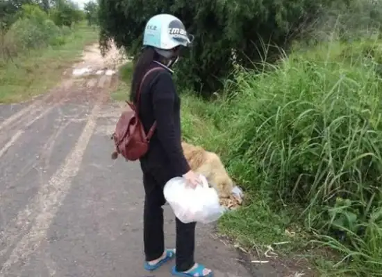 The dog's gone, the intersection is waiting for the owner for four years, and when we meet again, it doesn't go with the owner