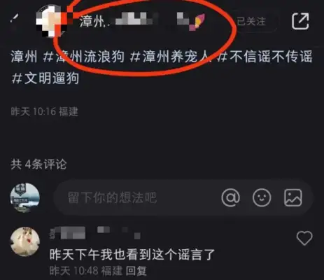 A dog shop in a small area of Chuju? The stray dog became the asset of whose money