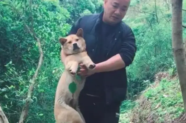 The dog's back leg was broken so he wouldn't look for the master. Boring