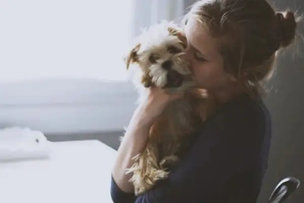 The master lets love take care of the baby, and the cat and the dog have no choice but to act softly