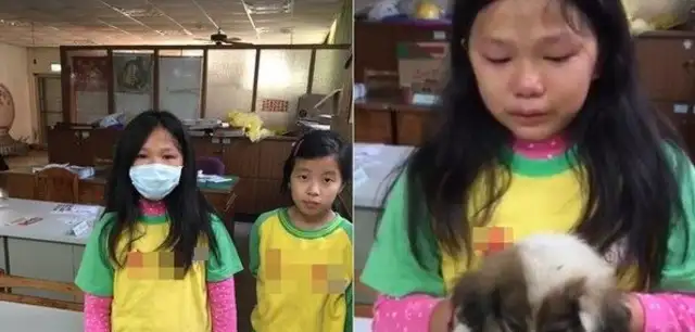 There's nowhere for an orphan puppy to go