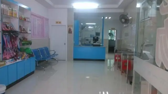 The pictures of the bugs on the face of the stray dog, who were corrupted by the mites, were taken to the hospital three times and the answers were chilling
