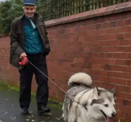 A woman sues a dog in court, and the Chief Justice announces that he's innocent