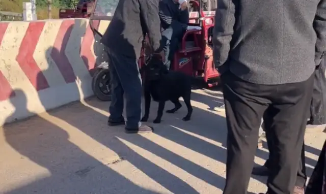 Labrado was held in a dog cage by his master and said it was worthless