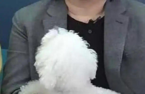 i've never been staring at any type of li jiaqi dog
