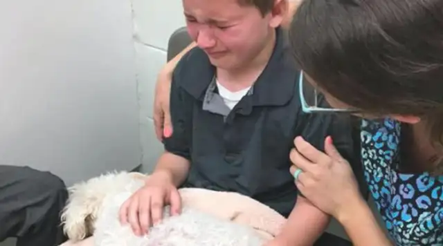 The royal dog's kidney is dying, and the boy begs for it: I love you forever
