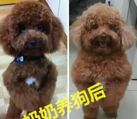 My mother brought her golden hair to the country's grandmother for the exam