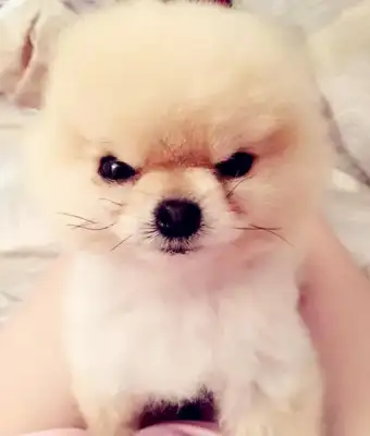 Little Bo-mi was blown into shape in the wind, but somehow turned into a cyber red man