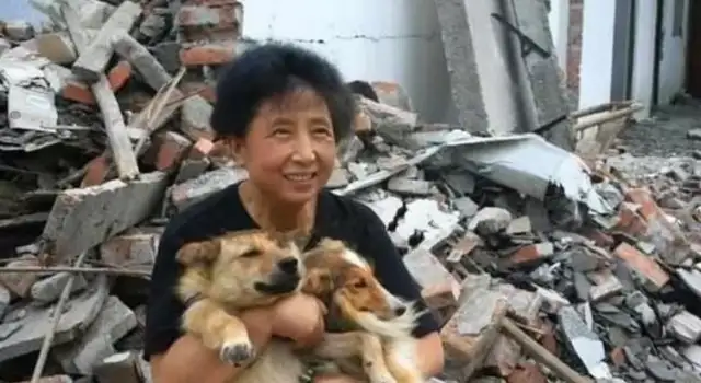 5,000 stray dogs, adopted by a nice aunt, abandoned a limo for the happiness of the dogs