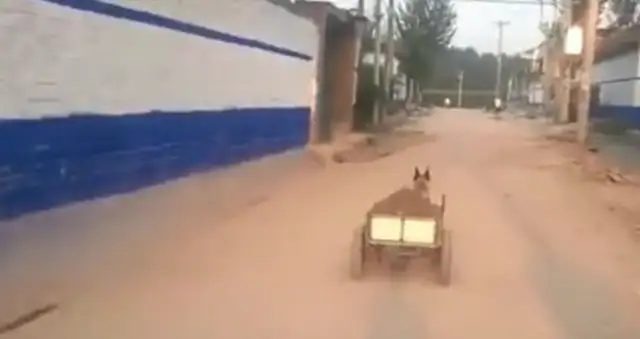 The master trained the pup tow truck, but he couldn't get out for 30 minutes