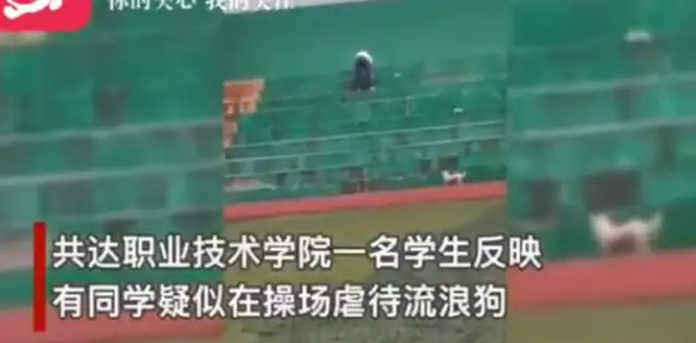 High-altitude dog-throwing by a man in Anhui College