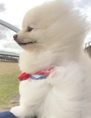 Little Bo-mi was blown into shape in the wind, but somehow turned into a cyber red man