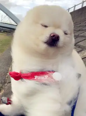 Little Bo-mi was blown into shape in the wind, but somehow turned into a cyber red man