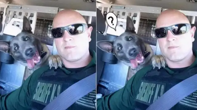 The dog's got a face! Cyber: It's like my stupid dog after work