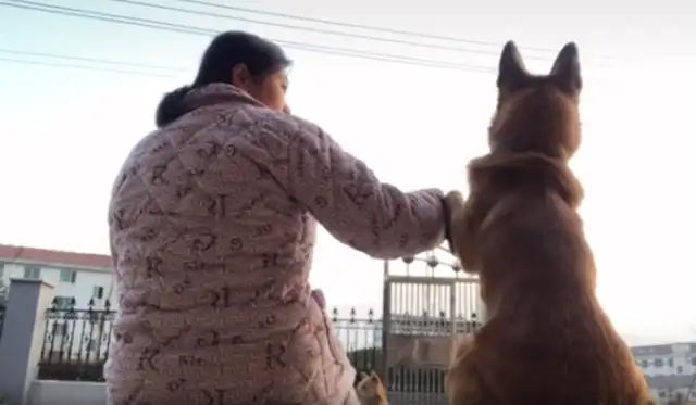 After I had my baby, the dog had endured for nine months and came for revenge