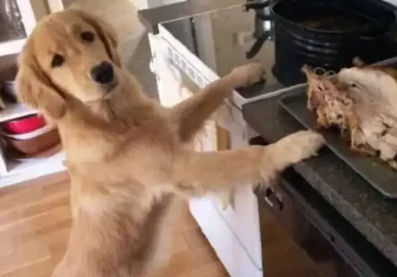 Little blondie made a mistake. Mom lets him put his ass up and beat him. The master saw a smile