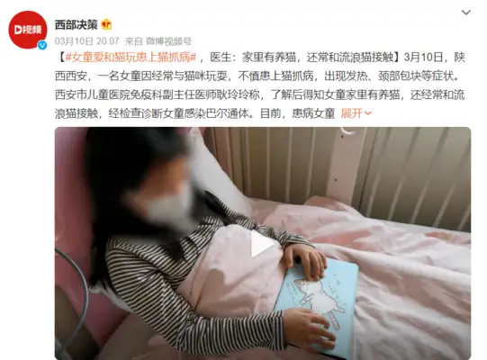 The young mother was beaten to a fracture by a man without a dog