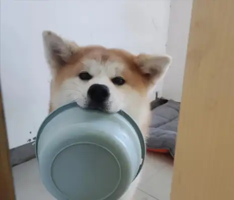 You're making me look bad