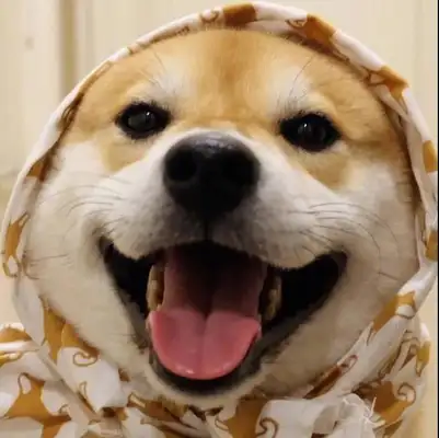 How powerful can a dog be