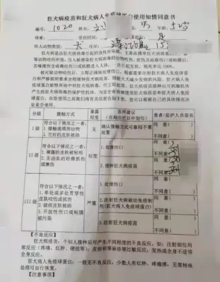Investigation into the “Killdog Killed on the Streets of Tunnel County”: the community's search for the owner did not work with the stray dog, the dog spoke