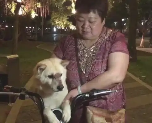 The dog ran home with his wounds and was driven away by his master