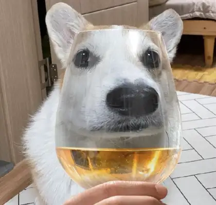 According to the high-foot glass, the dog looks so funny. Dog: Is that enough