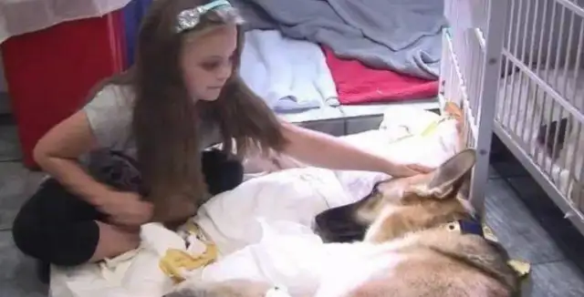The newly adopted coyote suddenly went to his 7-year-old daughter, and the frightened family was moved to cry..