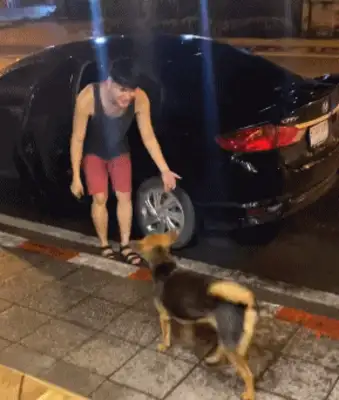 Did you wake up with a dog? Dude, you tied it up last night