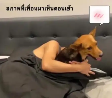 Did you wake up with a dog? Dude, you tied it up last night