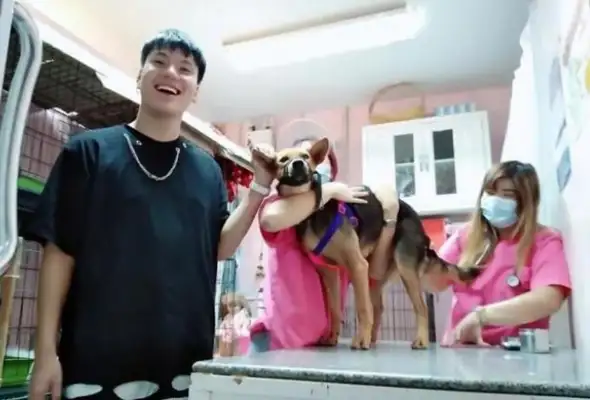 Did you wake up with a dog? Dude, you tied it up last night