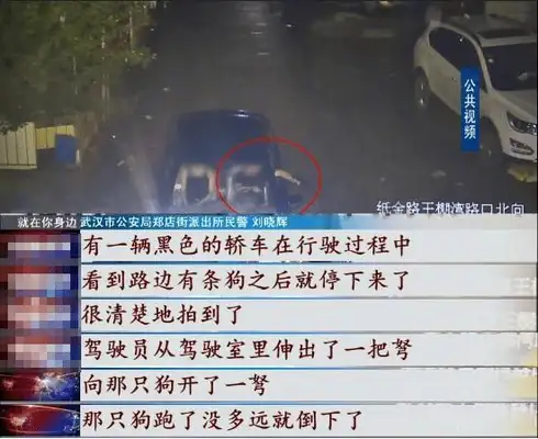 Brutal! Wuhan and his son, for profit, shot more than 100 dogs with poison darts and were detained for criminal offences