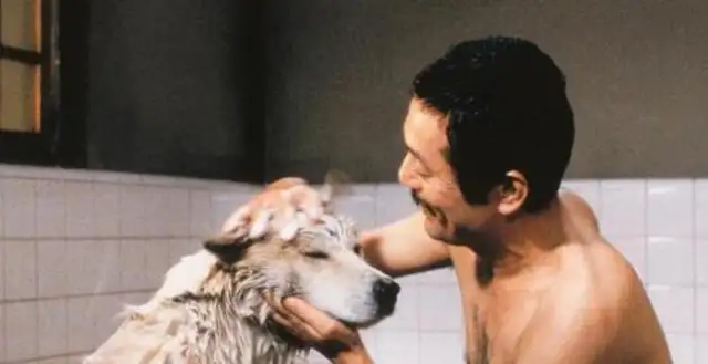 Is the dog really the most loyal friend of mankind