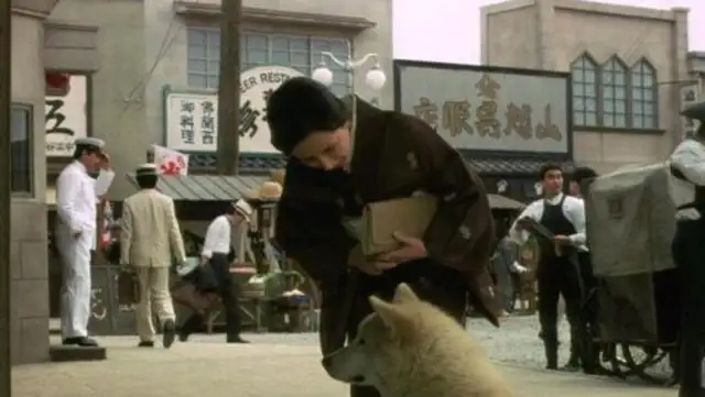 Is the dog really the most loyal friend of mankind