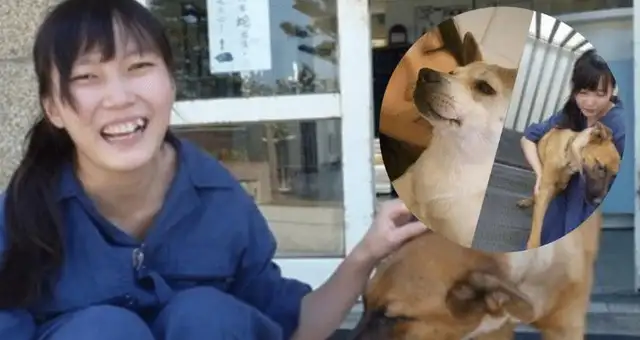 "The most beautiful veterinarian" is simple: to end thousands of dogs' lives with one hand, and to leave by suicide