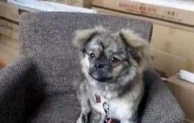 A roadmate picks up a dog, takes it out and gets talked about #8230;