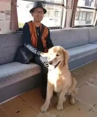 You can get your dog on the subway, you can set up a car for pets, you have to get inside. Down