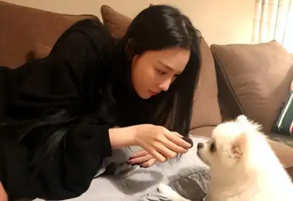 Why do the stars care only about stray dogs while ignoring the little girl who was bitten? It's a matter of public opinion