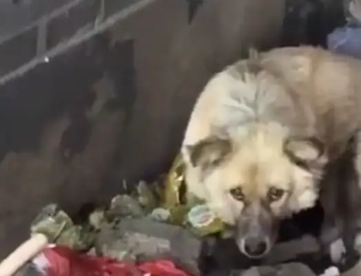No one gets near a kid who's only born out of a dumpster