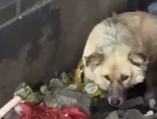 No one gets near a kid who's only born out of a dumpster