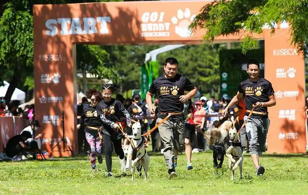 Dogs fighting for obstacles! Dog Buddy Warriors landing in Beijing