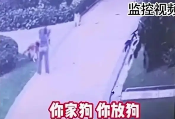 A man walks his dog without a rope and bites his dog, calls himself a cop, threatens to be careful. Points